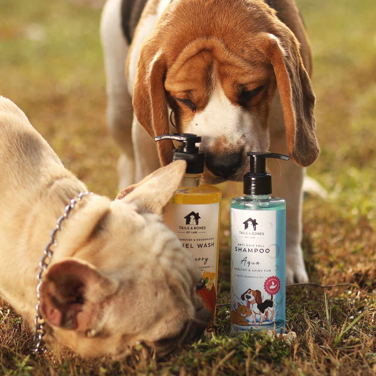 Tails & Bones Products