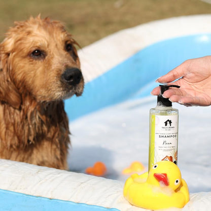 Itch Relief Shampoo | Neem & Lemongrass