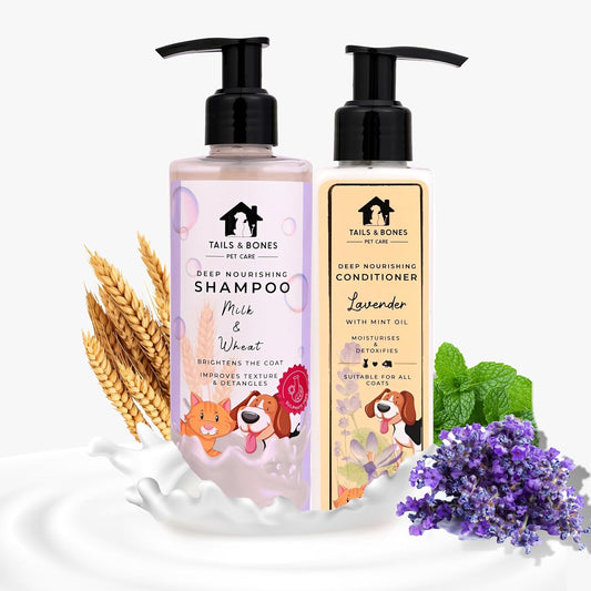 Nourishing Shampoo & Conditioner | Milk, Wheat, Lavender & Mint Oil | Combo of 2