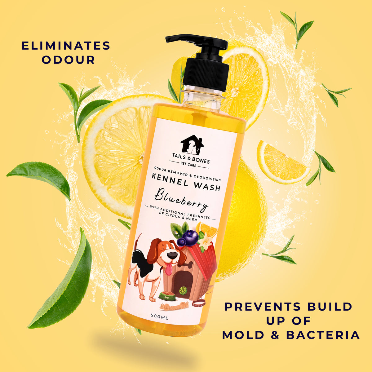 Kennel Wash Disinfectant for a Clean & Hygienic Environment